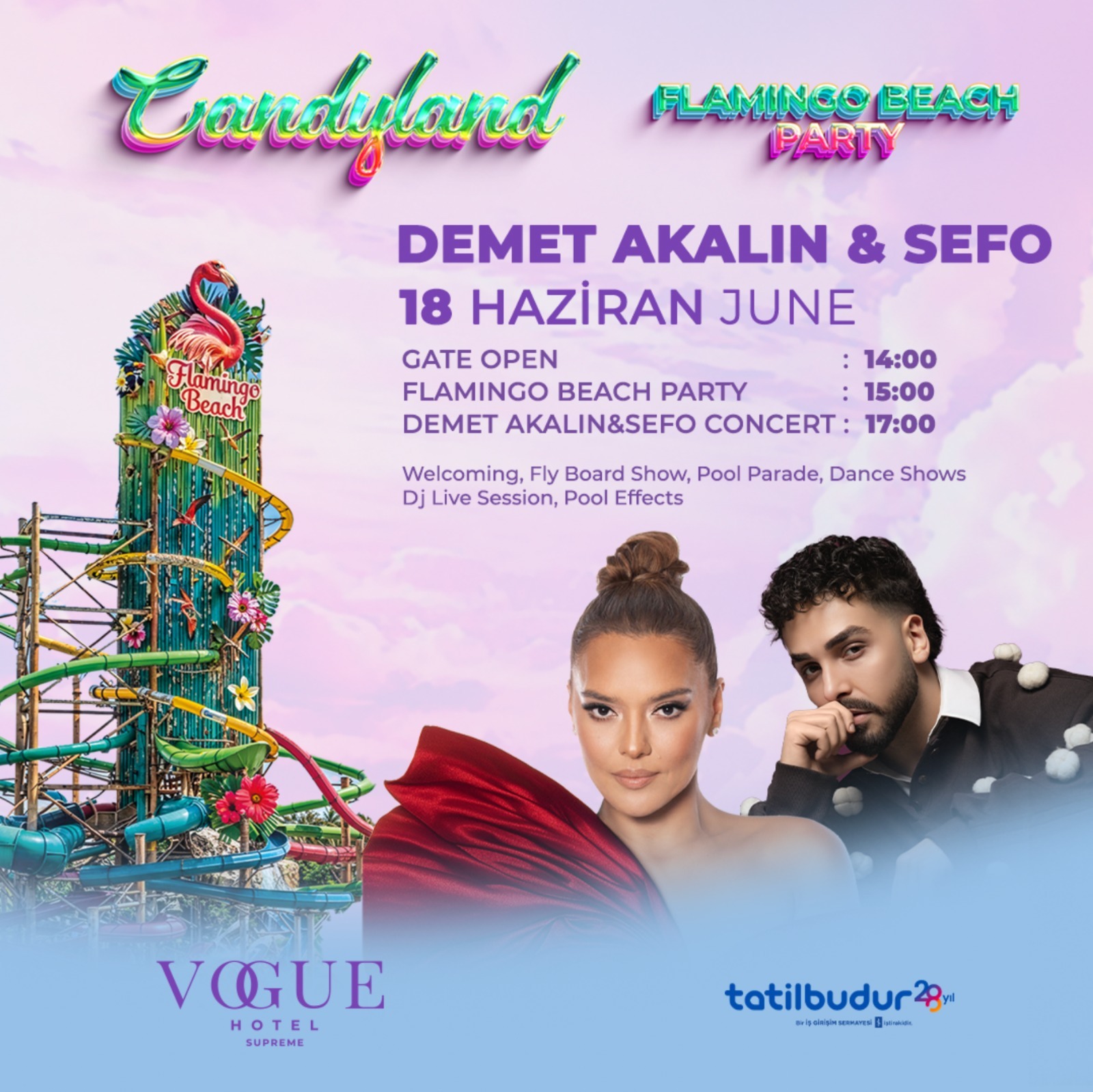 Candyland Flamingo Beach Party küçük resim